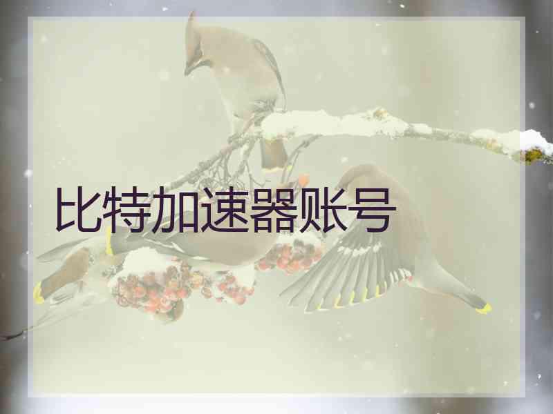 比特加速器账号