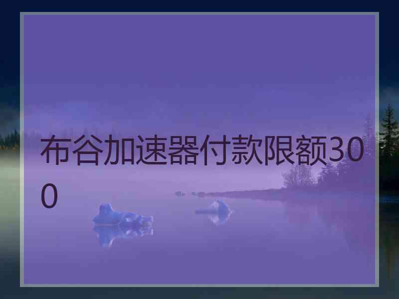 布谷加速器付款限额300