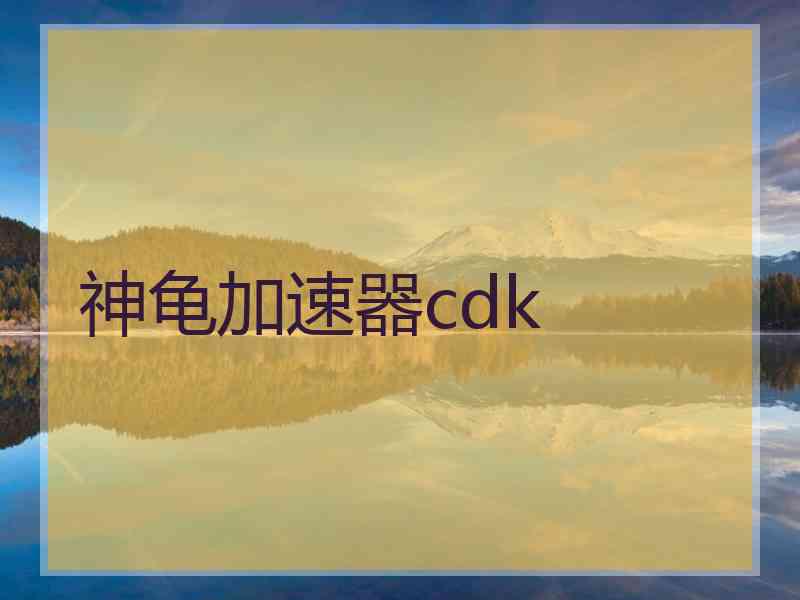 神龟加速器cdk