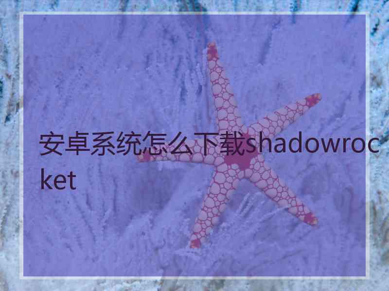 安卓系统怎么下载shadowrocket