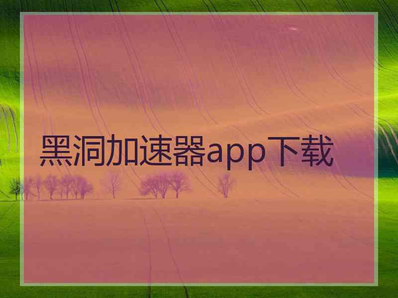 黑洞加速器app下载