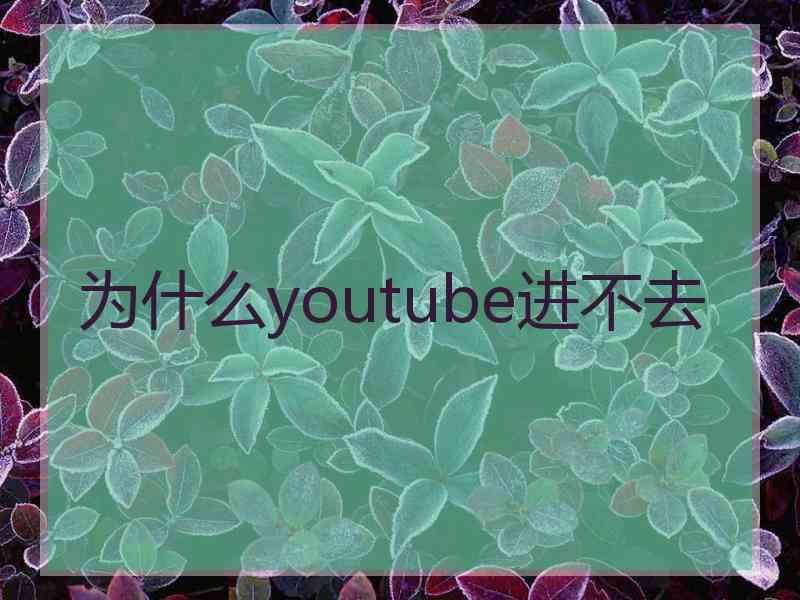 为什么youtube进不去
