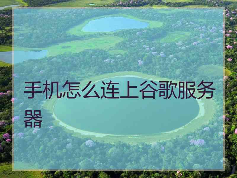 手机怎么连上谷歌服务器