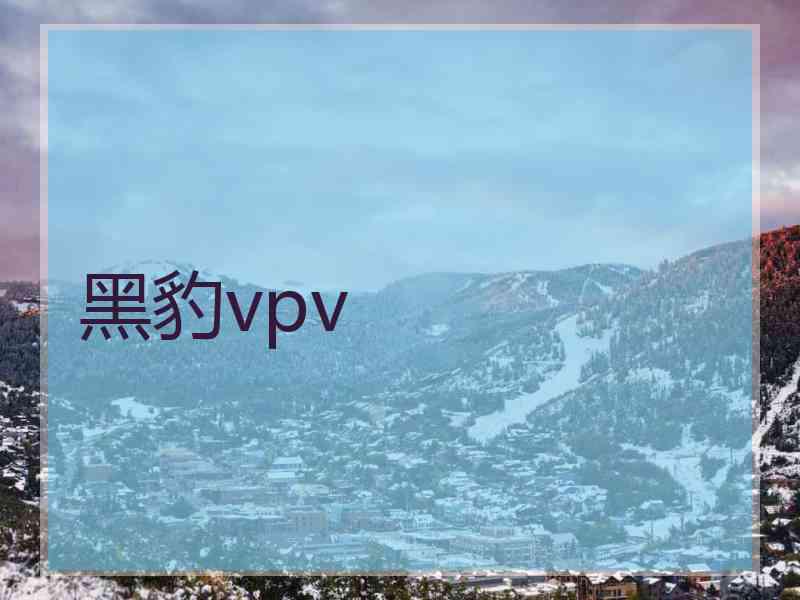 黑豹vpv
