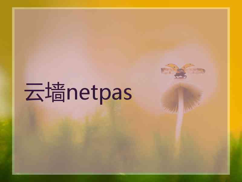 云墙netpas