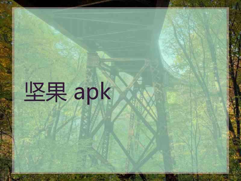 坚果 apk