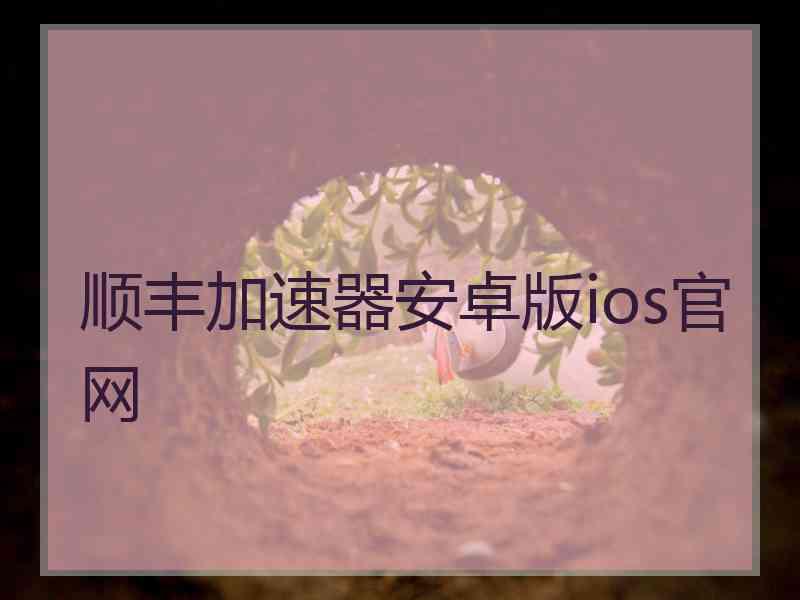 顺丰加速器安卓版ios官网