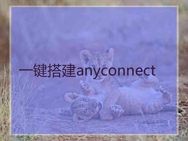 一键搭建anyconnect
