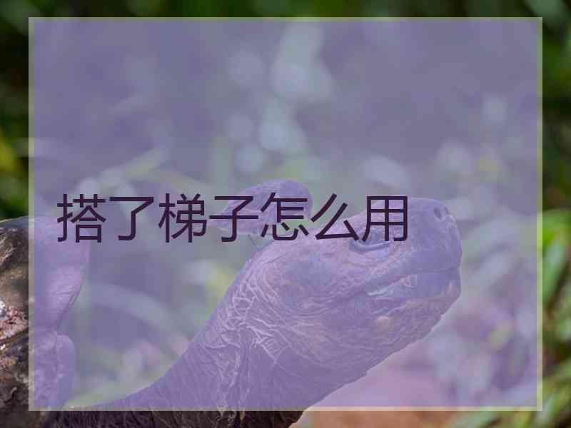 搭了梯子怎么用