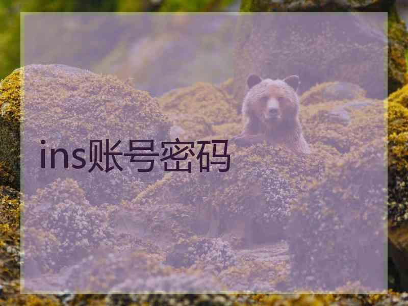 ins账号密码