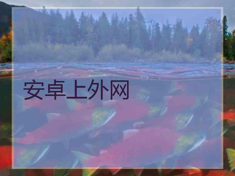 安卓上外网