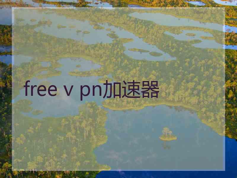 free v pn加速器