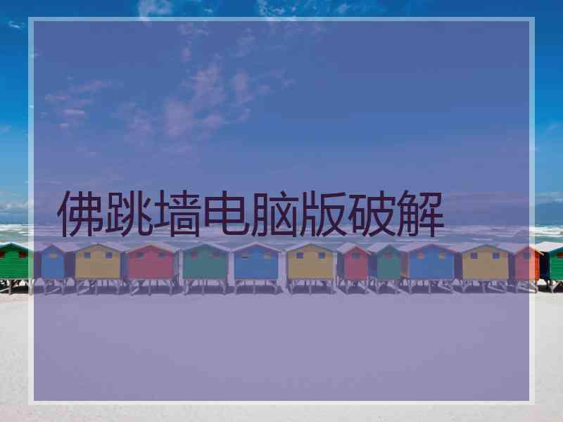 佛跳墙电脑版破解