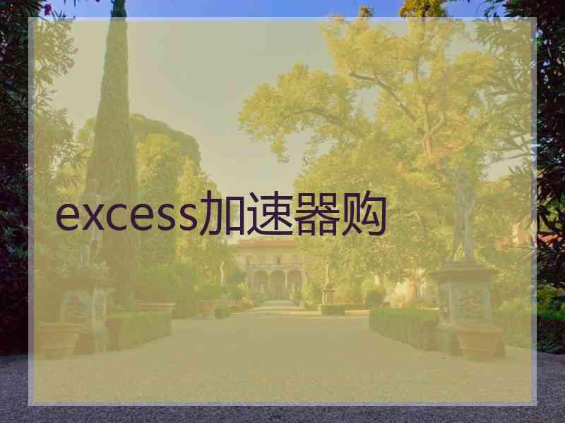 excess加速器购