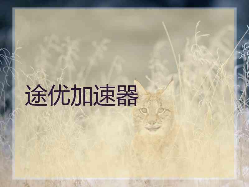 途优加速器