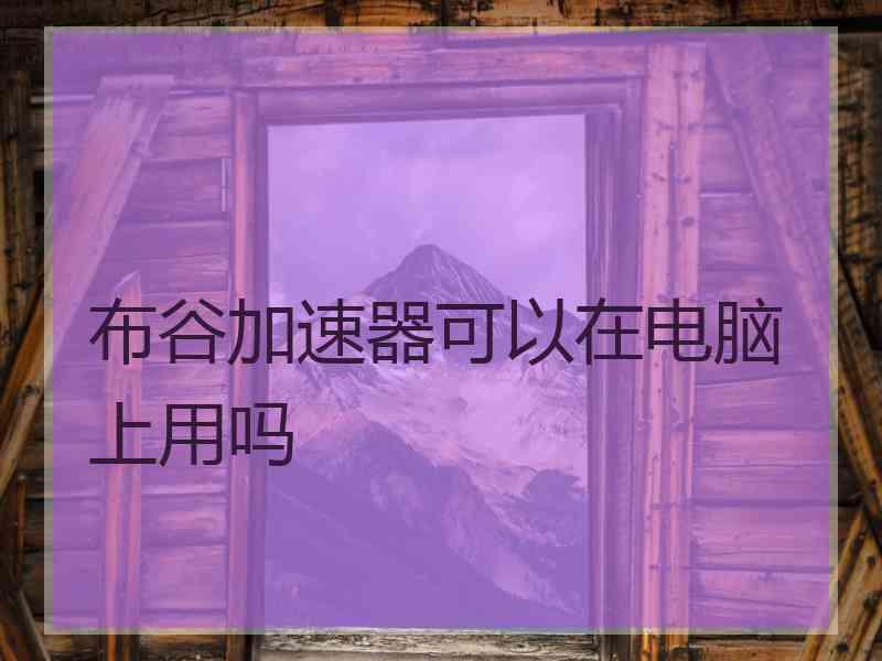 布谷加速器可以在电脑上用吗