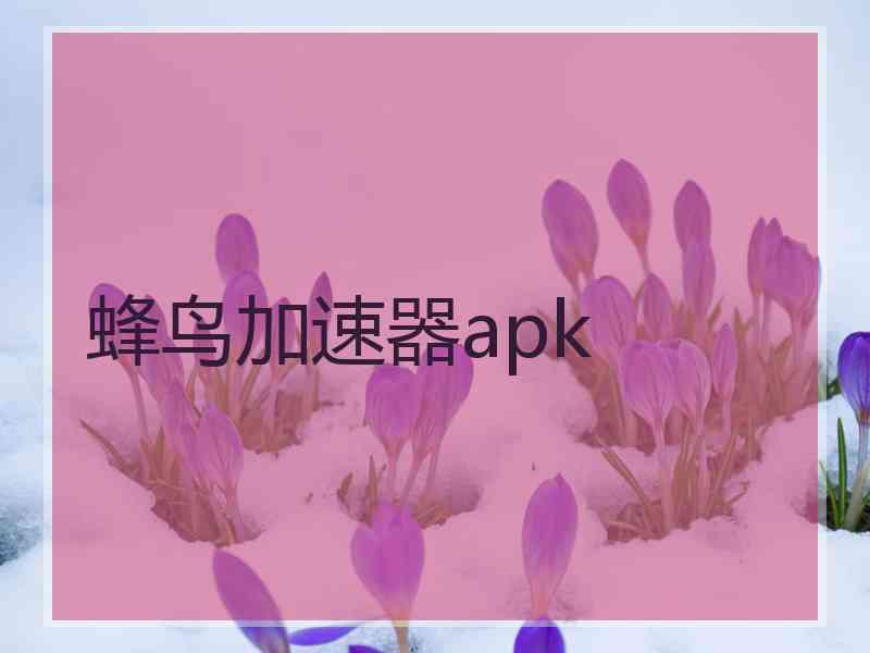 蜂鸟加速器apk