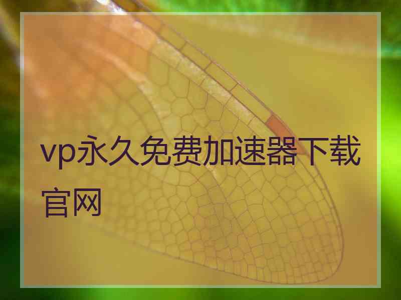 vp永久免费加速器下载官网