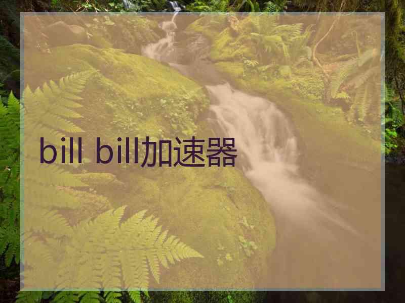 bill bill加速器