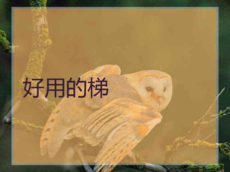 好用的梯