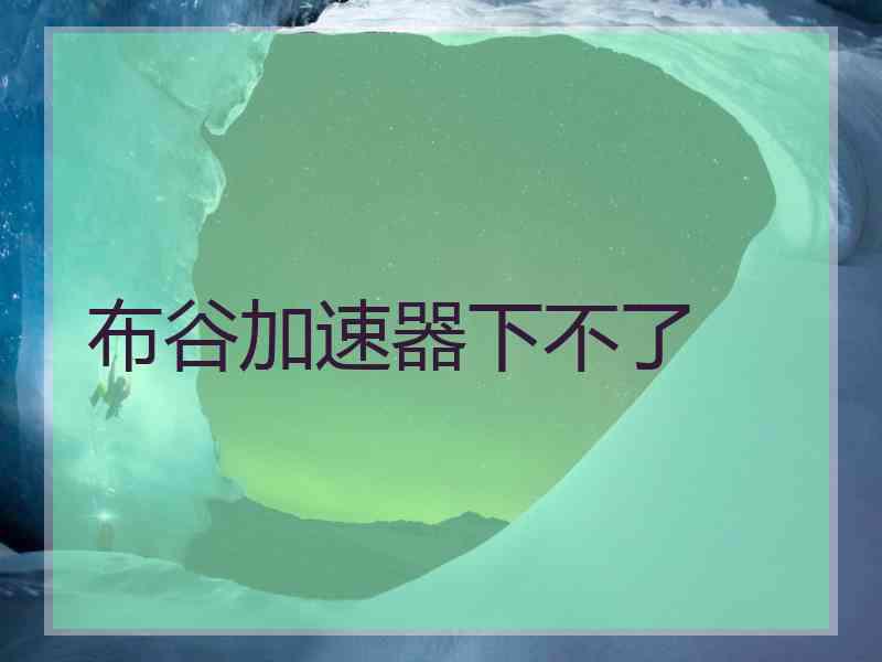 布谷加速器下不了