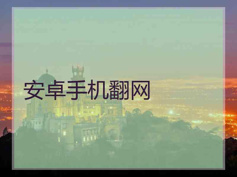 安卓手机翻网