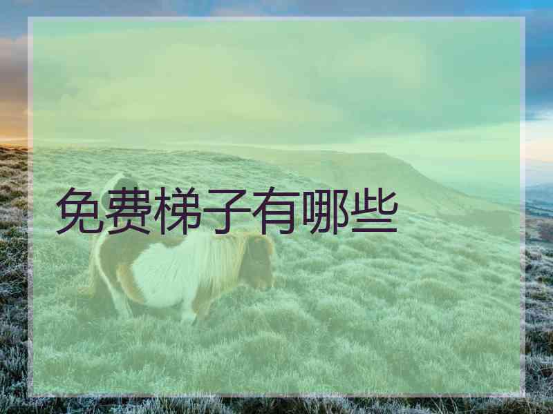 免费梯子有哪些