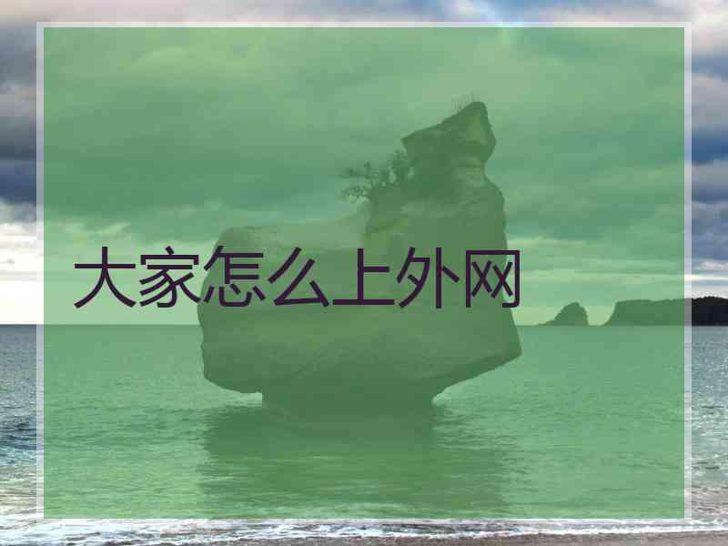 大家怎么上外网