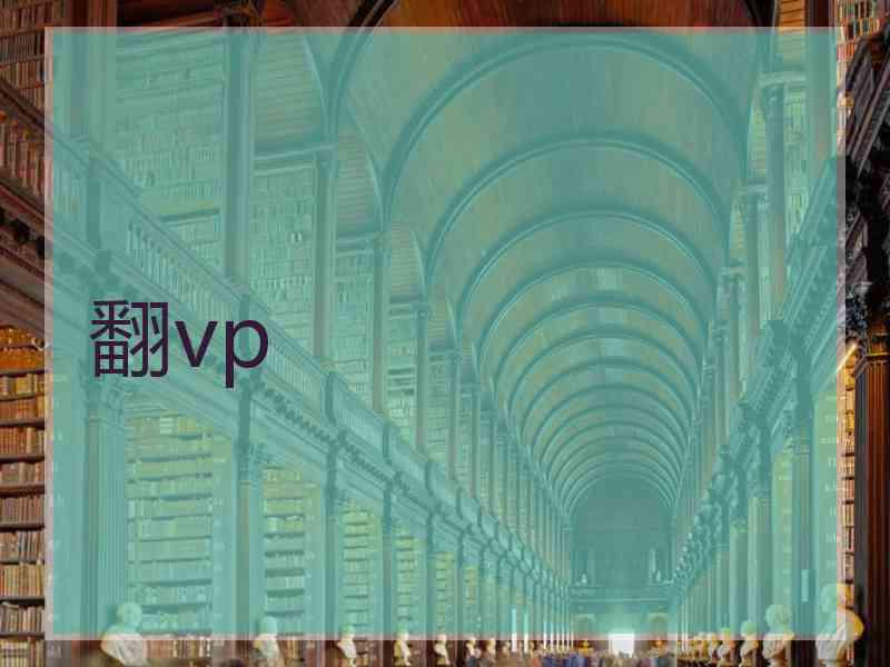 翻vp