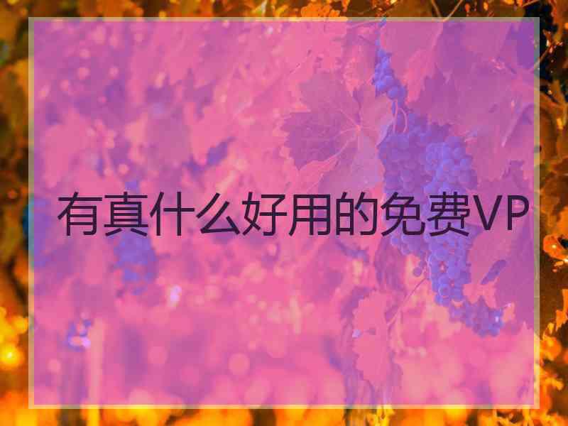 有真什么好用的免费VP