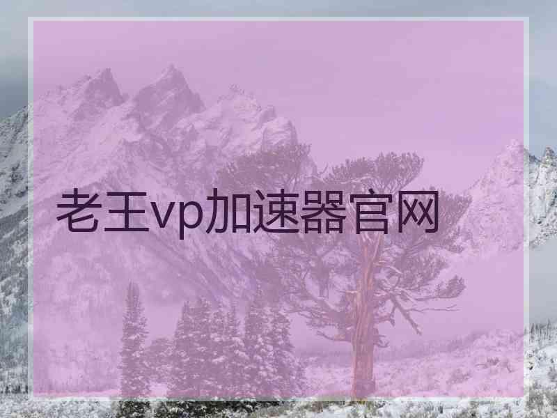 老王vp加速器官网