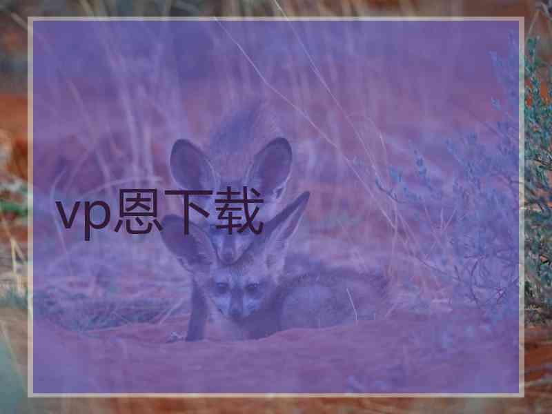 vp恩下载
