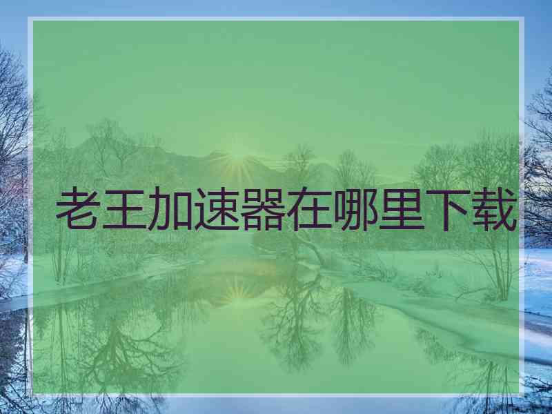 老王加速器在哪里下载