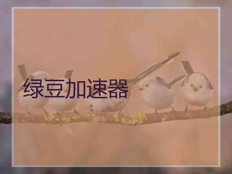 绿豆加速器