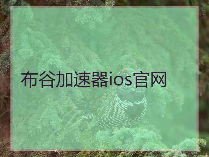 布谷加速器ios官网