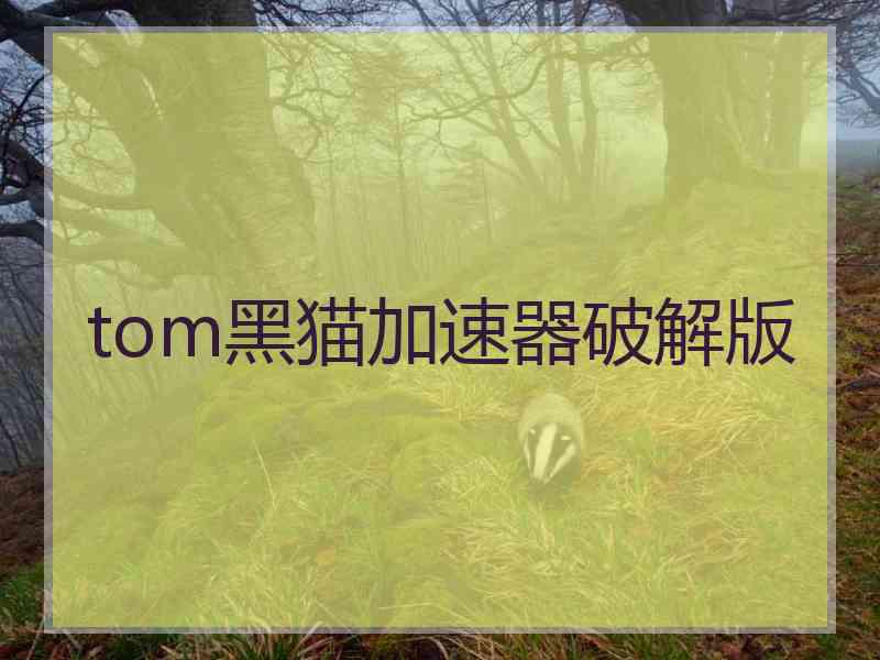tom黑猫加速器破解版