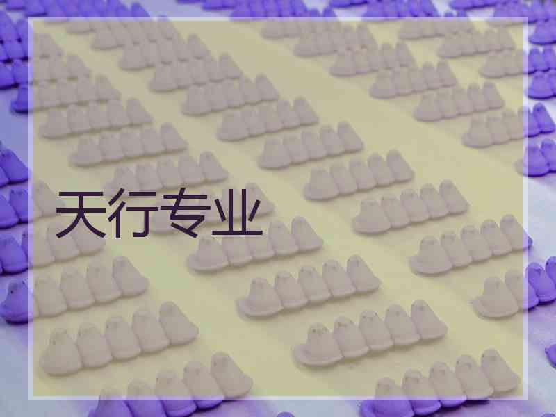 天行专业