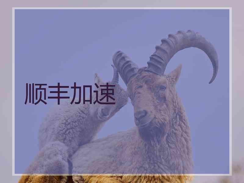 顺丰加速