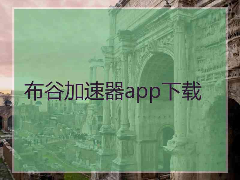 布谷加速器app下载