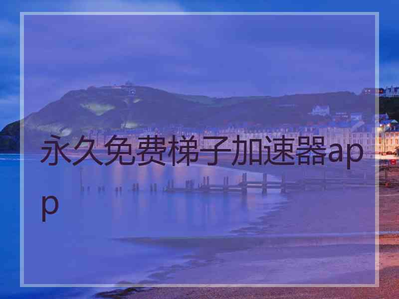 永久免费梯子加速器app