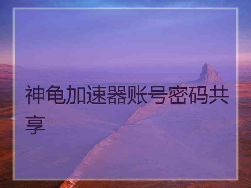 神龟加速器账号密码共享