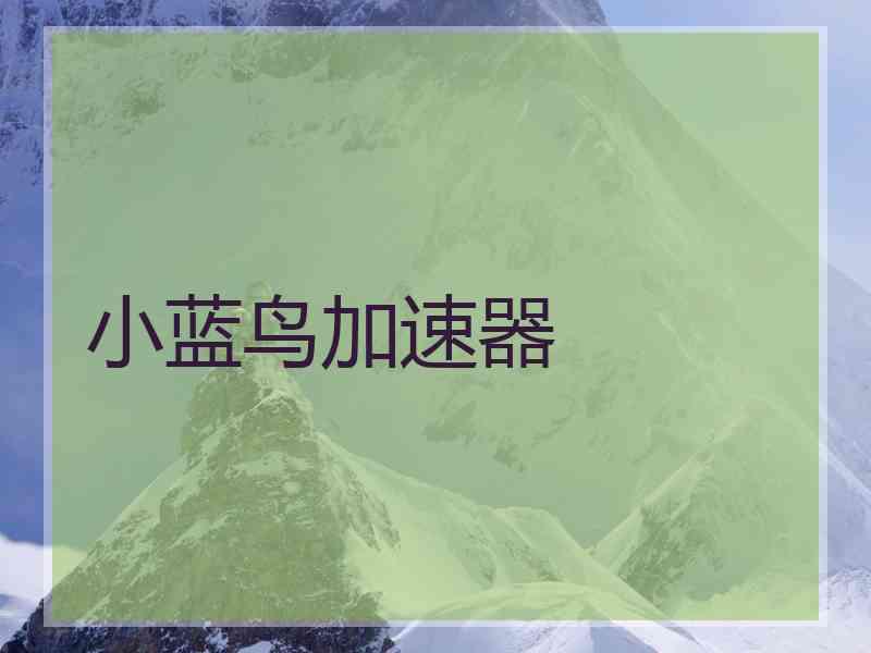 小蓝鸟加速器