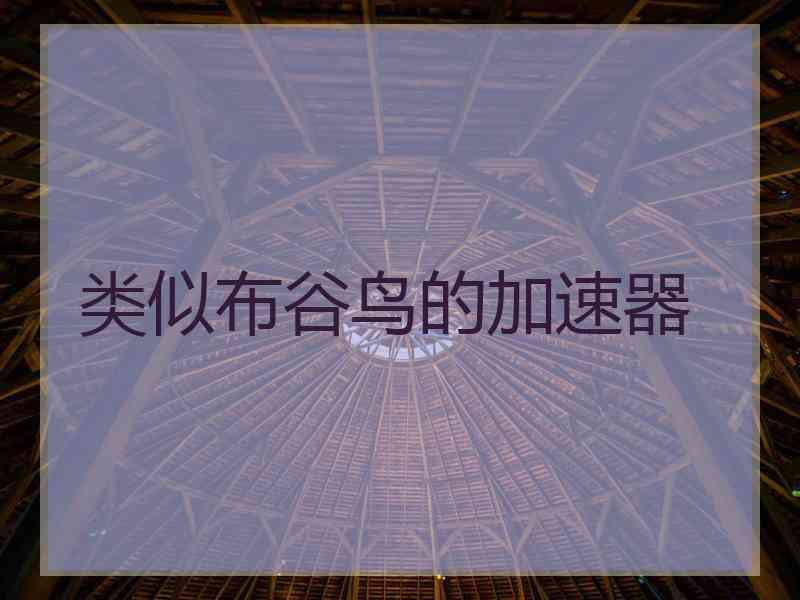 类似布谷鸟的加速器