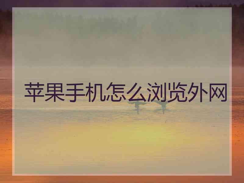 苹果手机怎么浏览外网