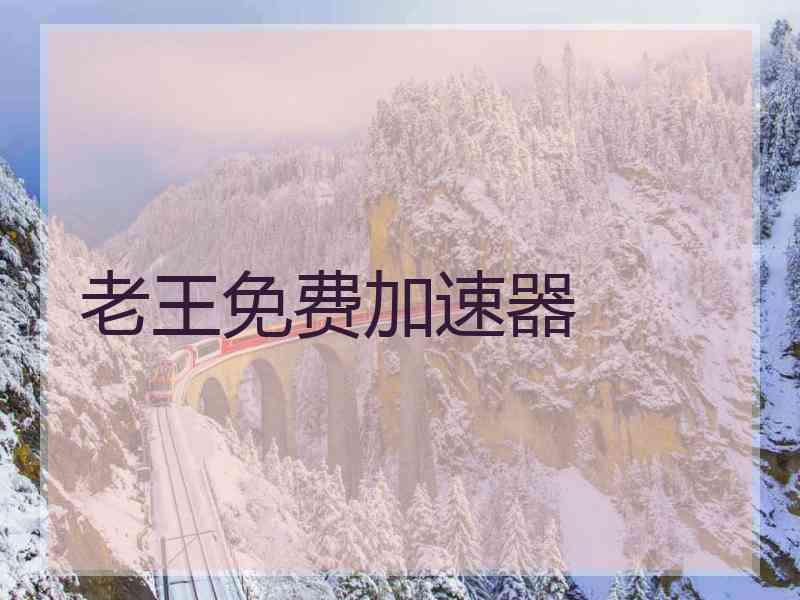 老王免费加速器