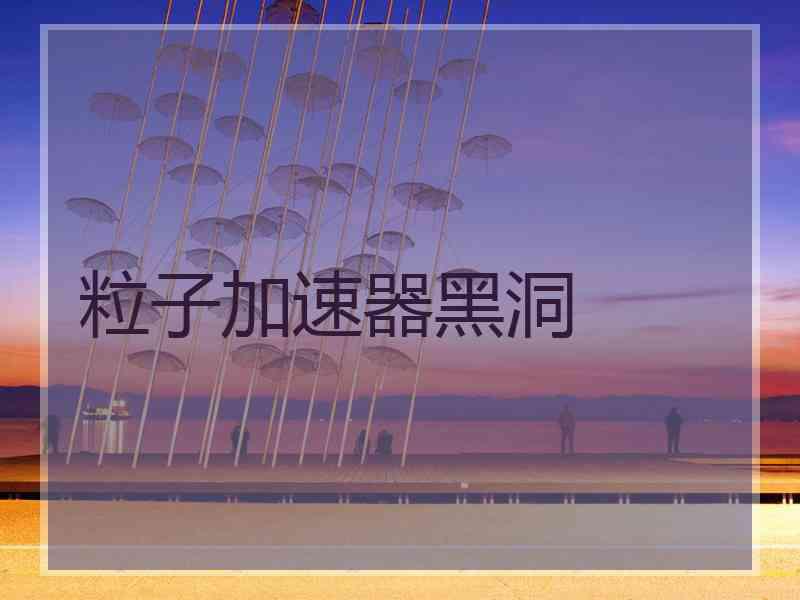 粒子加速器黑洞