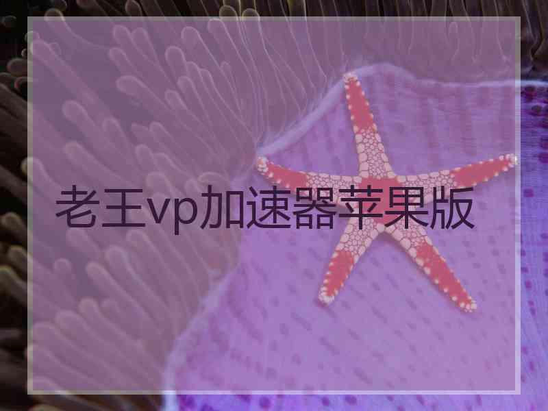 老王vp加速器苹果版