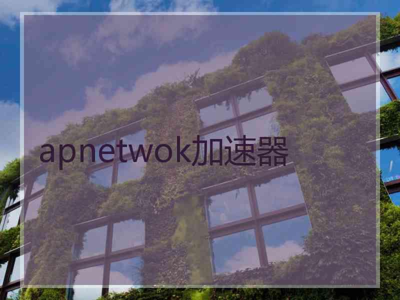 apnetwok加速器