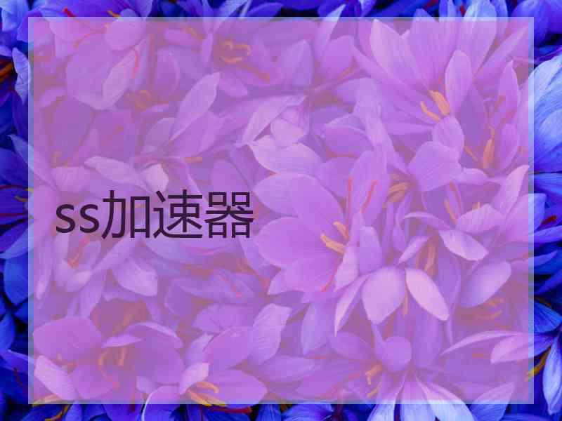 ss加速器