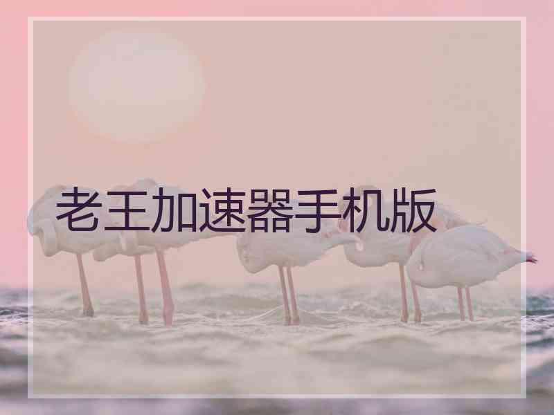 老王加速器手机版